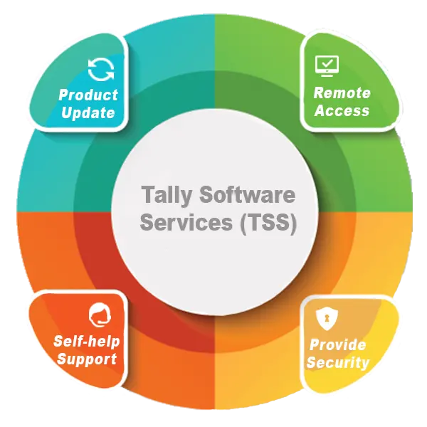 Tally Software Service